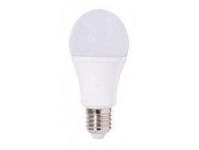 Ecolite E27 LED 20W A65 studená