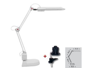 Ecolite LED stolní lampa L50164-LED 8W bílá