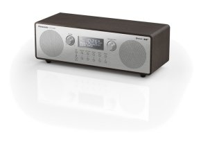 Panasonic RF-D100BTEGT