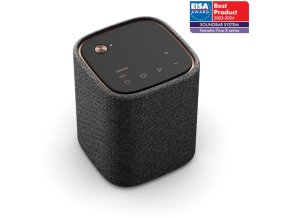 YAMAHA True X Speaker 1A / WS-X1A CRB GR