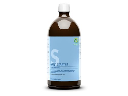 Em B Starter