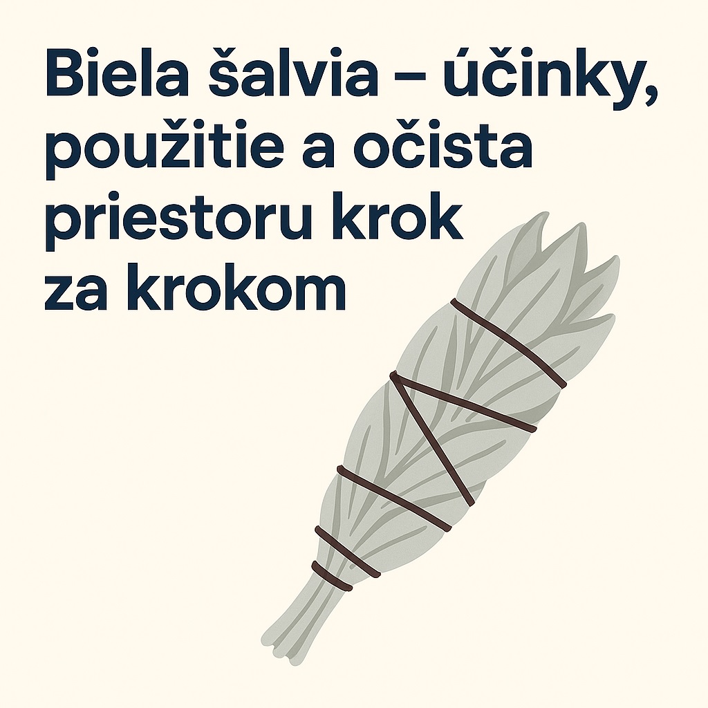 biela-salvia-ucinky-pouzitie-a-ocista