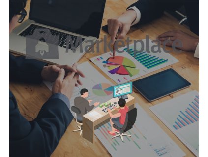 Konzultace Marketplace