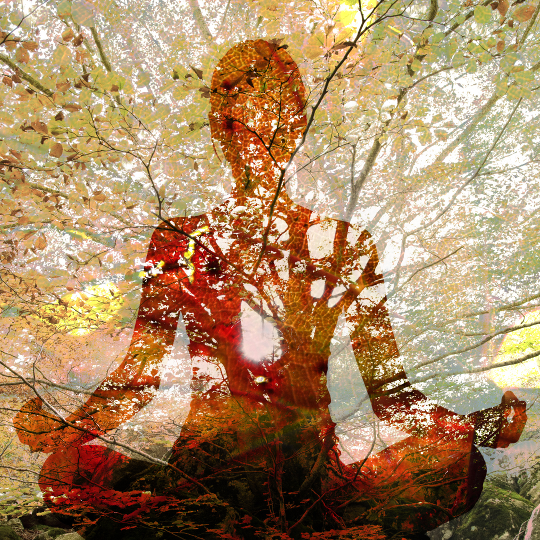 Překvapivá spojení mezi námi a přírodou