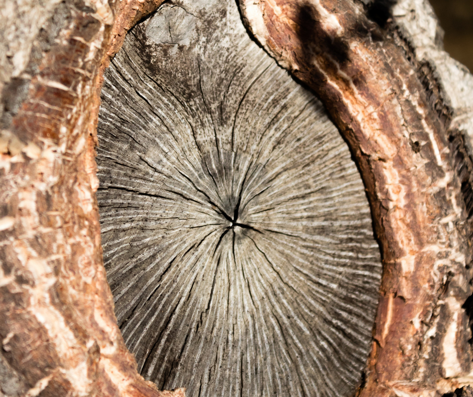 Jak se naše kabelky a batohy vyrábí?