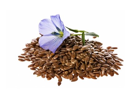 Lan hnedy Europa BIO Linum usitatissimum BioNebio biosujo