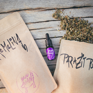 Prečo a ako odčervovať domácich miláčikov? 🐾