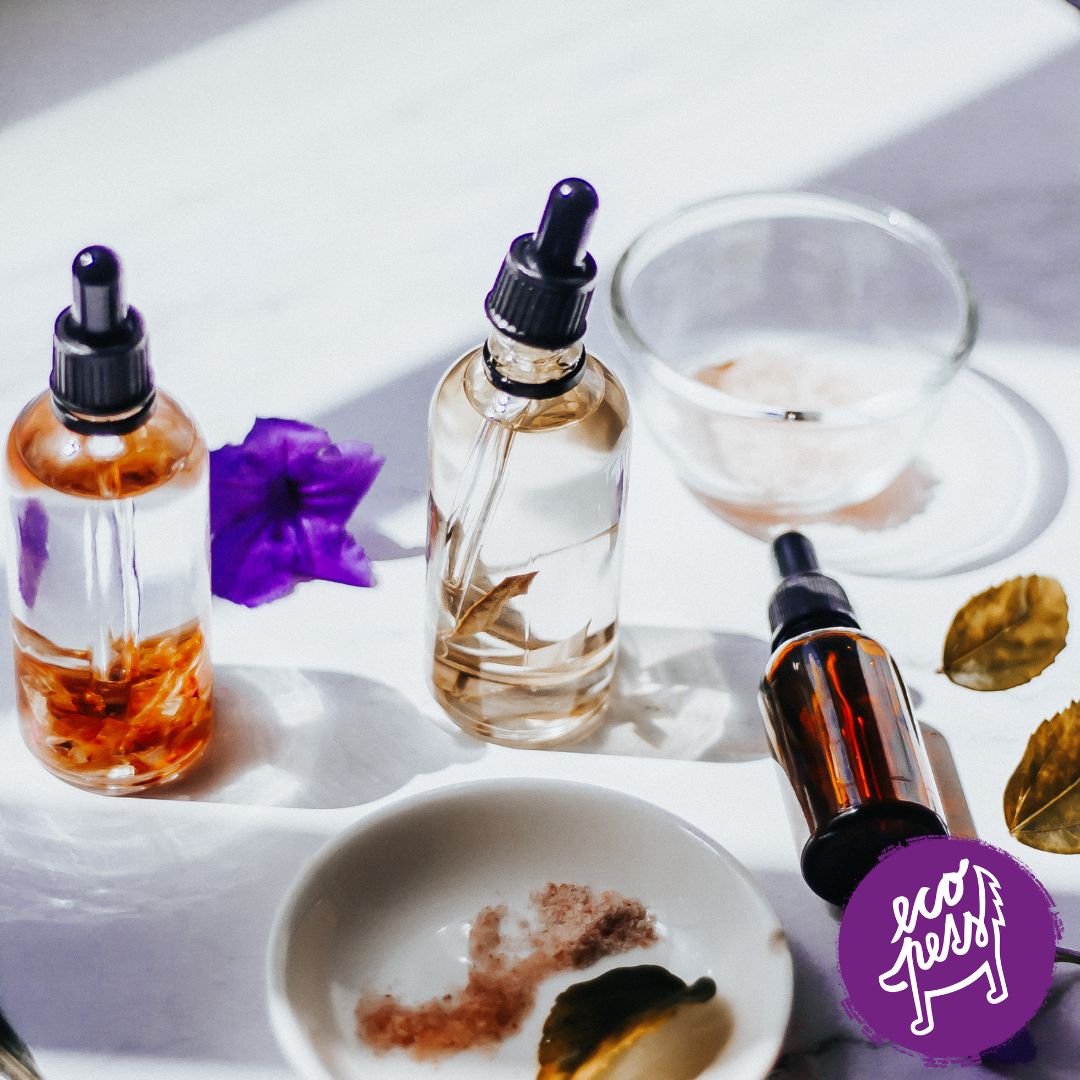 Bachove esencie pre psy, mačky a kone: Ako fungujú, kedy pomáhajú a čo o nich hovorí veda