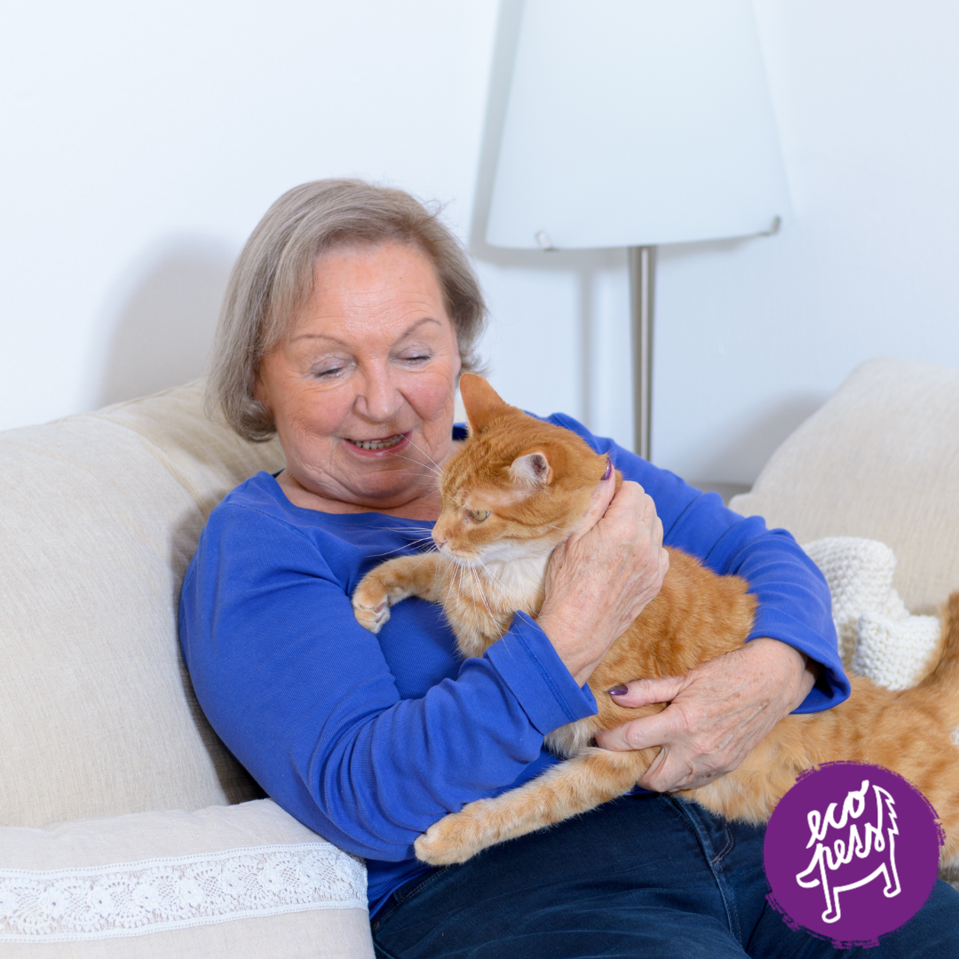 Jak umírá kočka: příznaky, chování a péče v posledních chvílích