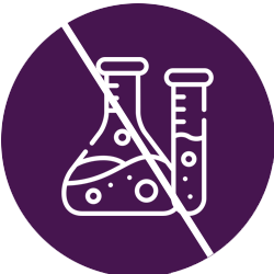 ZDRAVÉ PAMLSKY, DOPLŇKY