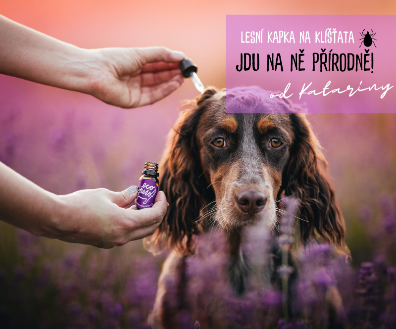 Serum proti klistatum - Lesni kapka ecopets mobil