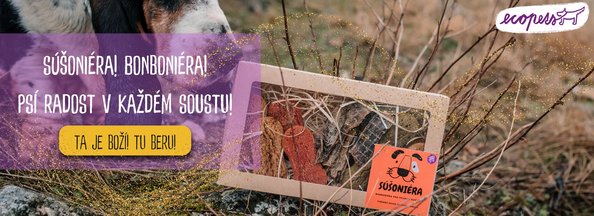 Susoniera pro psy