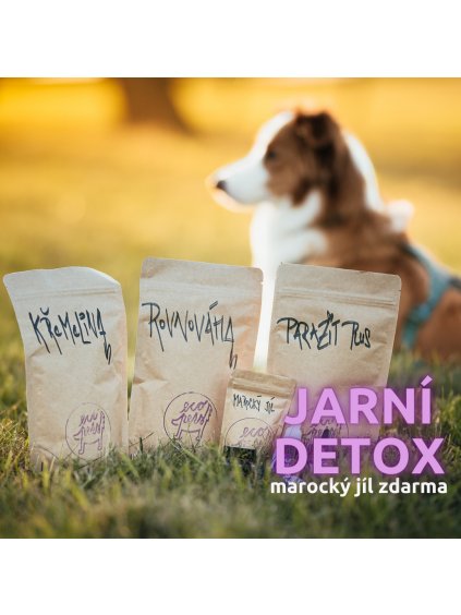 1080x1080 jarni detox ecopets