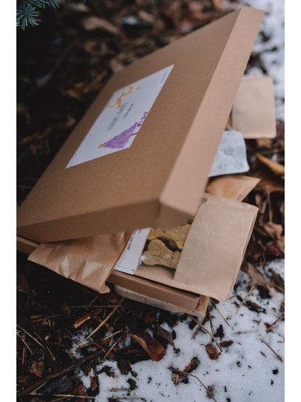 vanocni box pro psy prekvapeni 11