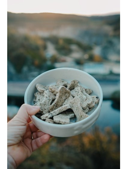 to je kost pamlsky na podporu ledvin pro psy 79