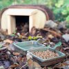 pitko nebo miska pro ježky hedehog water bowl wildlife world 3