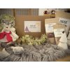 Vanocni box pro psy s  hepren dietou-dieta