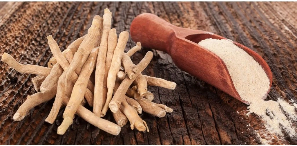 Výhody Ashwagandhy: Proč byste ji měli zařadit do své denní rutiny