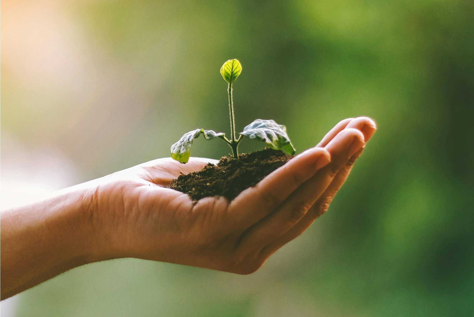 Co můžeme udělat pro své zdraví i zdraví naší planety: Ekologické čističe