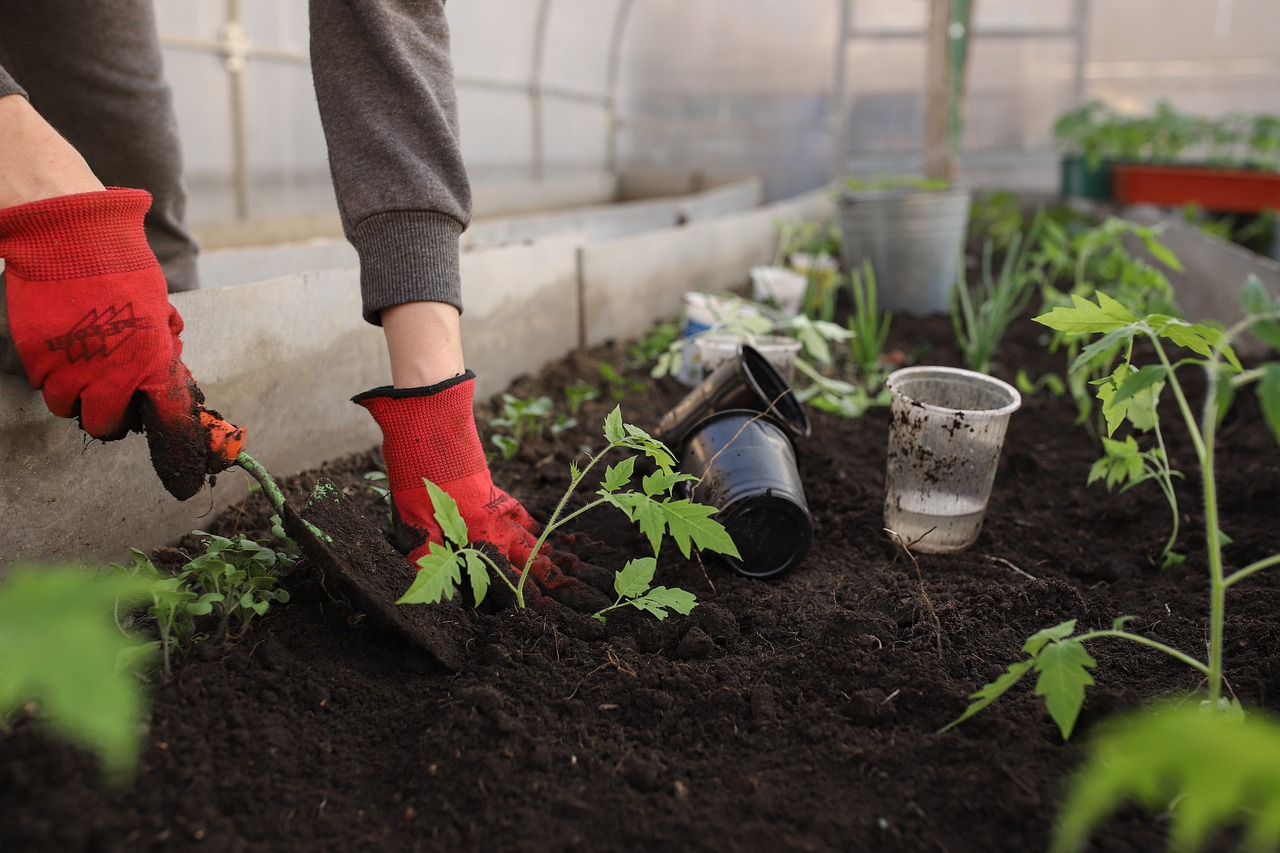Příprava zahrady na jaro: Od zimního spánku k bohaté úrodě