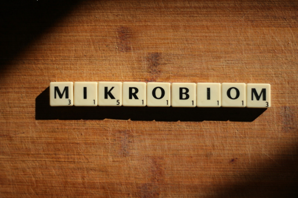 Hubnutí a střevní mikrobiom