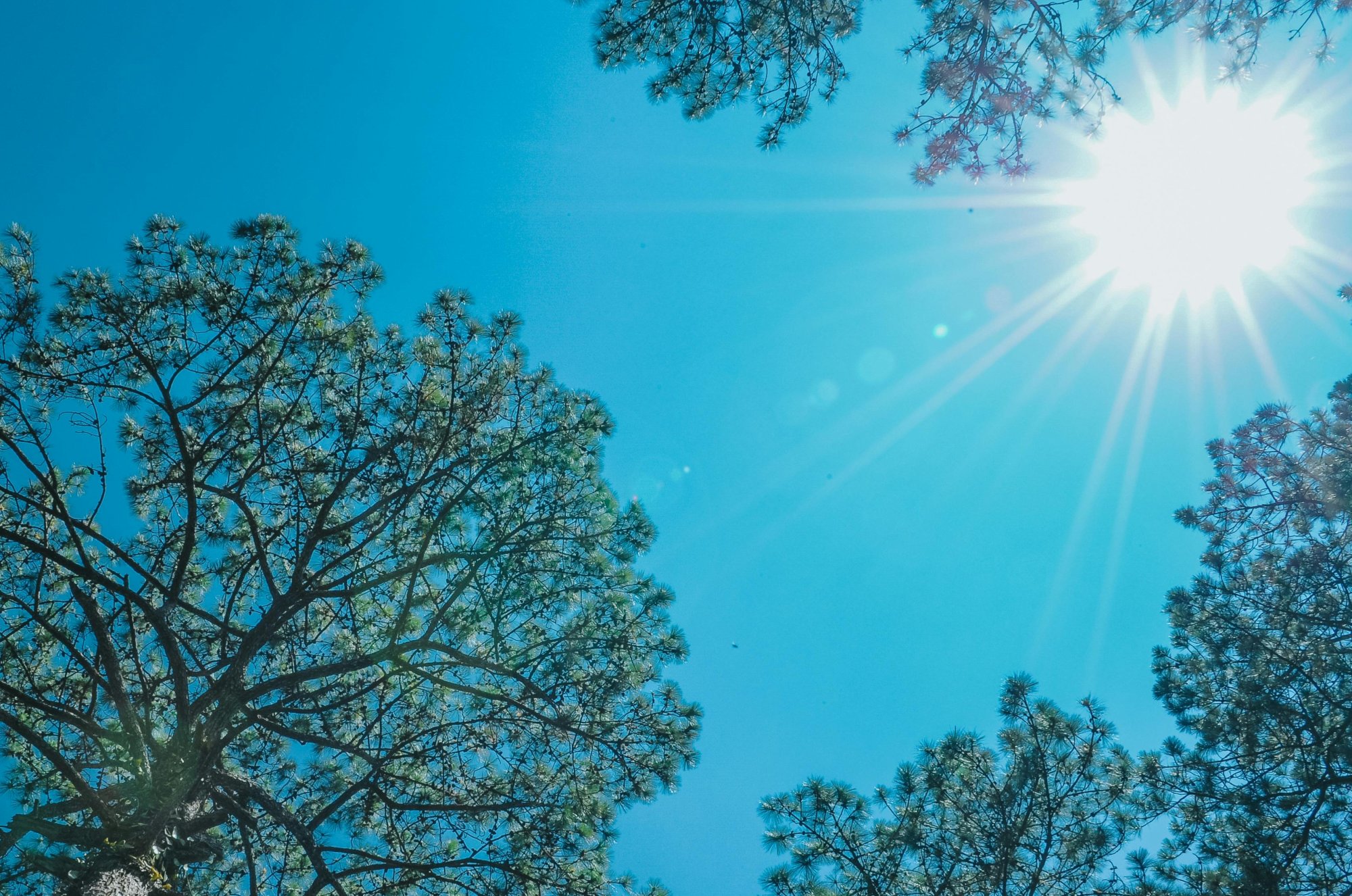 Jak si slunce užít naplno – a přitom chránit to nejcennější