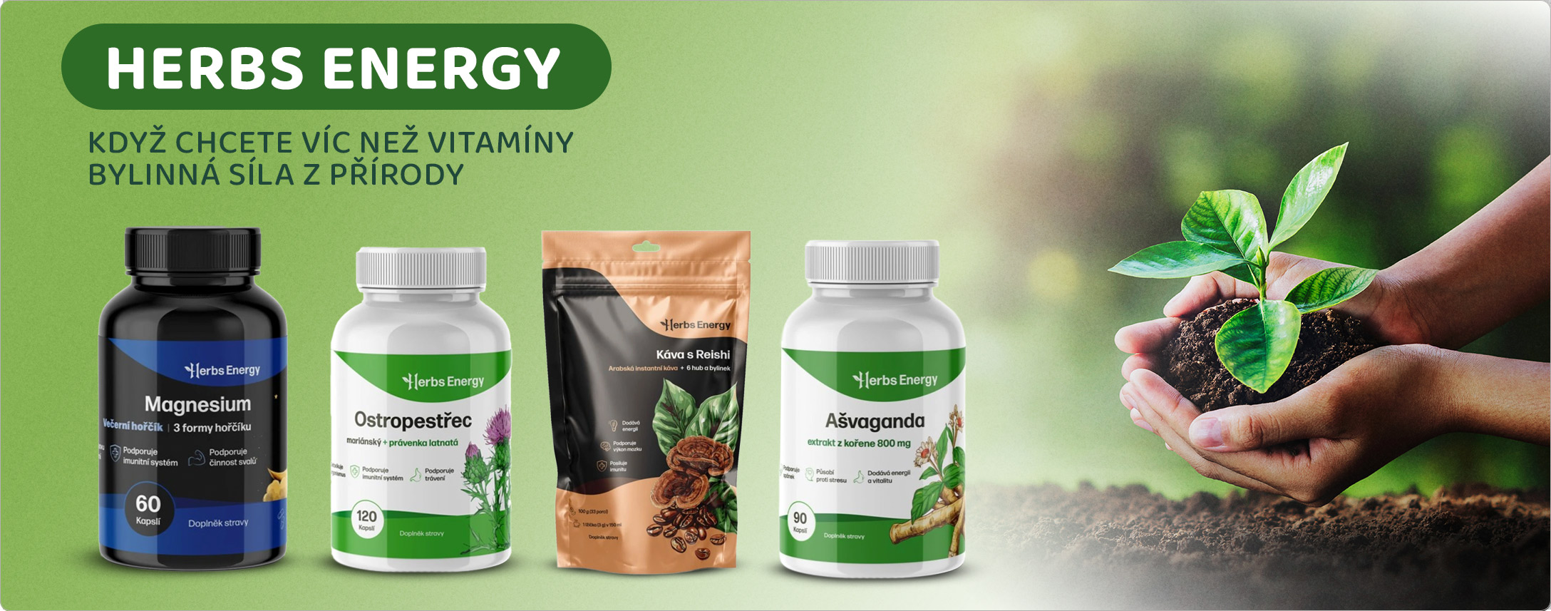herbs energy