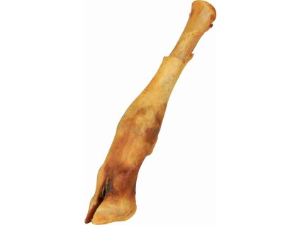 5c2dff5d481b90188d9e6562ac5d6b8f