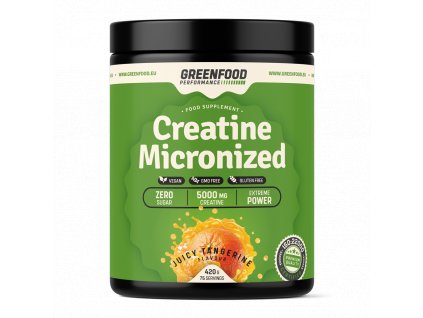 Performance Creatine Micronized  420g