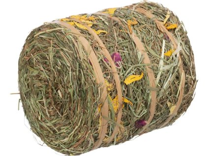 08de0a6d4806e98a127c266e015a66f0