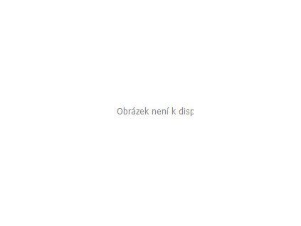 allnature goji kustovnice cinska premium bio 500 ml