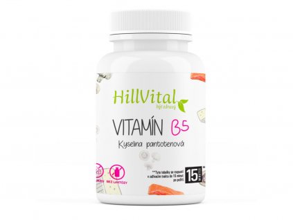 HillVital Vitamín B5, 100 kapslí