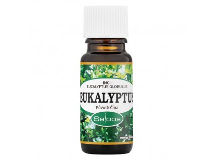 Eukalyptus - Cina 10 ml | Esenciální oleje Salus