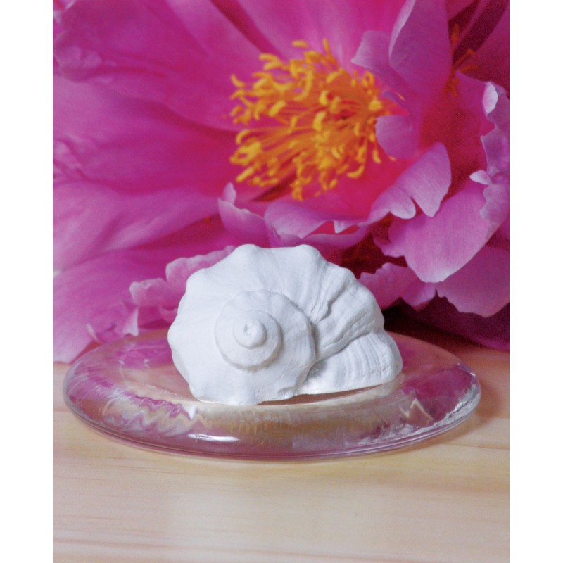 Eoné kosmetika s.r.o. Mušlička + Vánoce směs silic