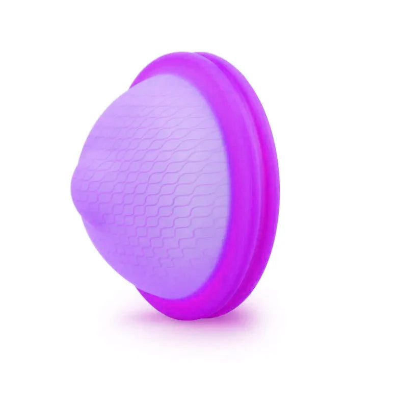 Bodylok Menstruační disk klasik pack (disk+obal) Levandule varianta: l