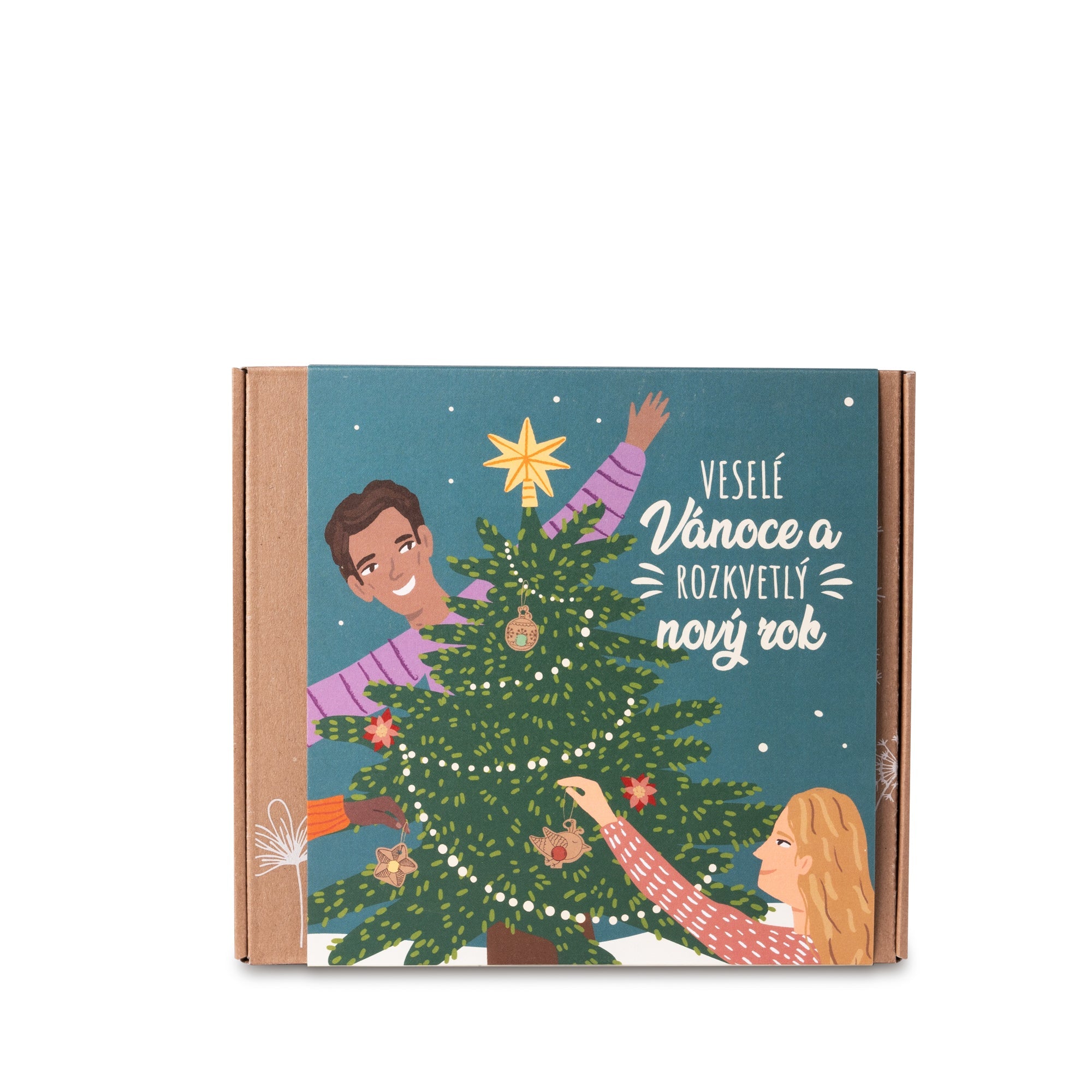 Blossombs Semínkové bomby - Dárková sada střední - Veselé Vánoce (9 ks) - originální vánoční dárek