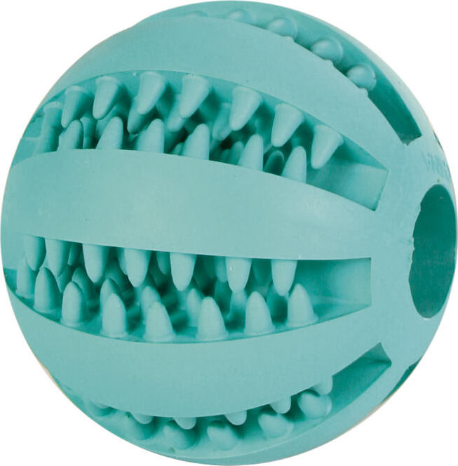 DENTAfun míč s mátou TRIXIE