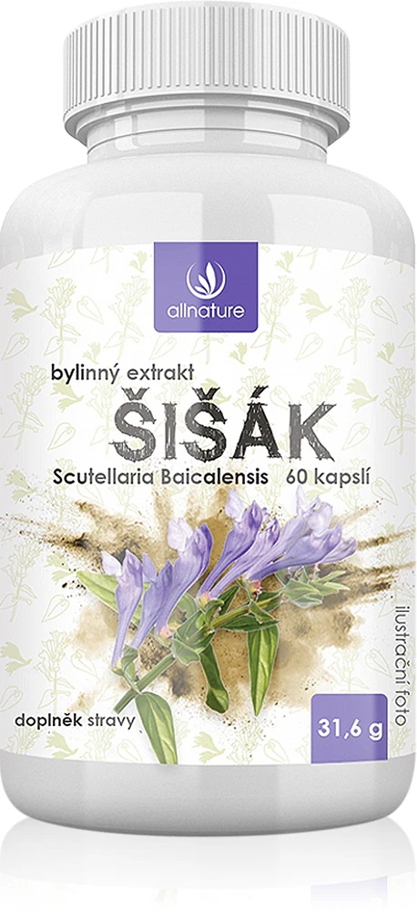 Allnature Šišák bylinný extrakt, 60 ks