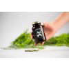 BrainMax Spermidine Chlorella, 100 rostlinných kapslí