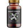BrainMax Fadogia Agrestis 10:1 500 mg, 120 kapslí