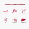 BrainMax Řešení cholesterolu, 100 rostlinných kapslí