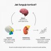 BrainMax Cortisol Stress Support, 60 rostlinných kapslí