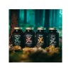 BrainMax Reishi extrakt, 50 % polysacharidů a 20 % beta-1,3/1,6 D-glukanů 500 mg, 100 rostlinných kapslí
