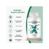 BrainMax Spirulina BIO, 200 tablet