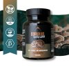 Hrotlife Coriolus, 90 ks