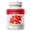 MycoMedica MycoCholest v optimální koncentraci, 120 rostlinných kapslí