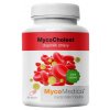 MycoMedica MycoCholest v optimální koncentraci, 120 rostlinných kapslí