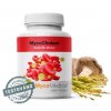 MycoMedica MycoCholest v optimální koncentraci, 120 rostlinných kapslí