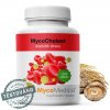 MycoMedica MycoCholest v optimální koncentraci, 120 rostlinných kapslí