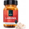 60729 8 woldohealth l arginin hcl 120 kapsli